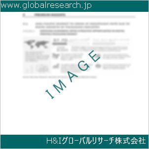 グローバルリサーチ調査資料のイメージ